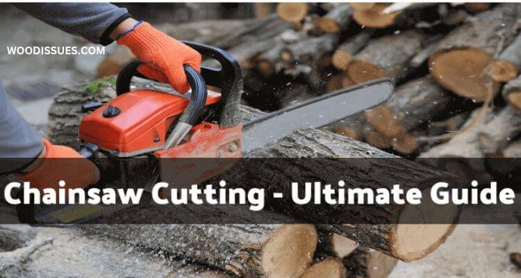 How to Grip Logs with a Chainsaw While Cutting